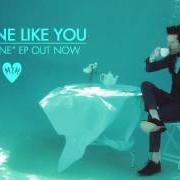 Der musikalische text SOMEONE LIKE YOU von MAYER HAWTHORNE ist auch in dem Album vorhanden Party of one (2016)