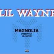 Der musikalische text MAGNOLIA von LIL' WAYNE ist auch in dem Album vorhanden In tune we trust (2017)