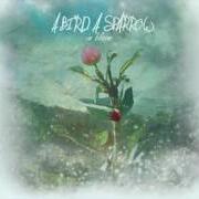 Der musikalische text I'LL BE von A BIRD A SPARROW ist auch in dem Album vorhanden In bloom (2010)