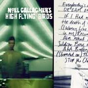 Der musikalische text EVIL FLOWER von NOEL GALLAGHER ist auch in dem Album vorhanden This is the place (2019)