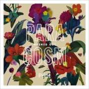 Der musikalische text ALL OVER NOW von WASHED OUT ist auch in dem Album vorhanden Paracosm (2013)