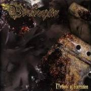 Der musikalische text PUNISHMENT WITHOUT MERCY von BRODEQUIN ist auch in dem Album vorhanden Methods of execution (2004)