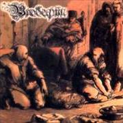 Der musikalische text BLOOD OF THE MARTYR von BRODEQUIN ist auch in dem Album vorhanden Festival of death (2001)
