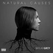 Der musikalische text REAL WORLD von SKYLAR GREY ist auch in dem Album vorhanden Natural causes (2016)