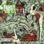 Der musikalische text DECIMATED GENITALIA von BROKEN HOPE ist auch in dem Album vorhanden The bowels of repugnance (1993)