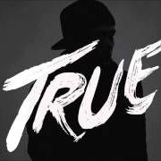 Der musikalische text SHAME ON ME von AVICII ist auch in dem Album vorhanden True (2013)