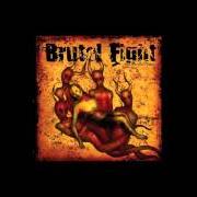 Der musikalische text THE TRUTH MADE KNOWN von BRUTAL FIGHT ist auch in dem Album vorhanden Our merciful father (2005)