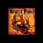 Der musikalische text A MARTYR'S CRY von BRUTAL FIGHT ist auch in dem Album vorhanden Our merciful father (2005)