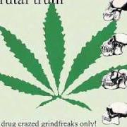 Der musikalische text (UNTITLED) von BRUTAL TRUTH ist auch in dem Album vorhanden For drug crazed grindfreaks only! - live at noctum studios (2000)