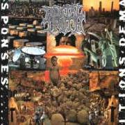 Der musikalische text P.S.P.I. von BRUTAL TRUTH ist auch in dem Album vorhanden Extreme conditions demand extreme responses (1992)