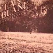 Der musikalische text NO KIND OF FORGIVENESS von DYLAN LEBLANC ist auch in dem Album vorhanden Pauper's field (2010)