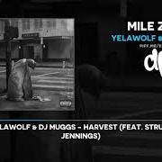 Der musikalische text THE CATCH von YELAWOLF ist auch in dem Album vorhanden Mile zero (2021)