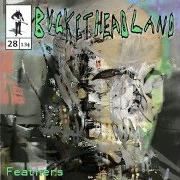 Der musikalische text FEATHERS von BUCKETHEAD ist auch in dem Album vorhanden Feathers (2013)