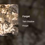 Der musikalische text I CANT WAIT von TWIN SHADOW ist auch in dem Album vorhanden Forget (2010)