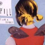 Der musikalische text CARRY THE ZERO von BUILT TO SPILL ist auch in dem Album vorhanden Keep it like a secret (1999)