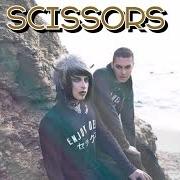 Der musikalische text SCISSORS von BLOOD ON THE DANCE FLOOR ist auch in dem Album vorhanden Scissors (2016)