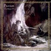 Der musikalische text HALL OF THE FALLEN von BURZUM ist auch in dem Album vorhanden The ways of yore (2014)