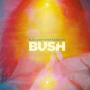 Der musikalische text RAVENS von BUSH ist auch in dem Album vorhanden Black and white rainbows (2017)