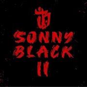 Der musikalische text RACHE von BUSHIDO ist auch in dem Album vorhanden Sonnyblack 2 (2020)