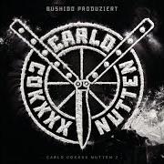 Der musikalische text DROGEN, SEX, GANGBANG (FEAT. KING ORGASMUS ONE) von BUSHIDO ist auch in dem Album vorhanden Carlo cokxxx nutten (fler) (2021)