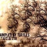 Der musikalische text HAMMOCK SWINGING von TRAMPLED BY TURTLES ist auch in dem Album vorhanden Duluth (2010)