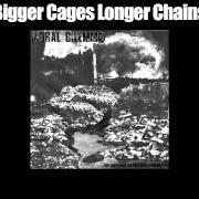 Der musikalische text NEW EMPIRE von MORAL DILEMMA ist auch in dem Album vorhanden Bigger cages, longer chains (2012)