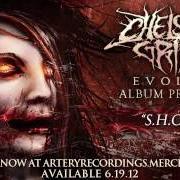 Der musikalische text DON’T ASK, DON’T TELL von CHELSEA GRIN ist auch in dem Album vorhanden Evolve (2012)