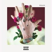 Der musikalische text YOUNG MAN von MGK ist auch in dem Album vorhanden Bloom (2017)