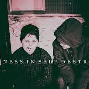 Der musikalische text A SONG ABOUT MYSELF von THE PLOT IN YOU ist auch in dem Album vorhanden Happiness in self destruction (2015)