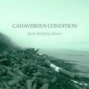 Der musikalische text TO THE DISTANT GREY von CADAVEROUS CONDITION ist auch in dem Album vorhanden What the waves were always saying (2003)