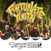 Der musikalische text SEE IT von FORTUNATE YOUTH ist auch in dem Album vorhanden Live life (2019)