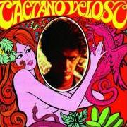 Der musikalische text PARQUE INDUSTRIAL von CAETANO VELOSO ist auch in dem Album vorhanden Tropicália (1968)