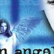 Der musikalische text SO' CUOTTO 'E TE von GIANNI CELESTE ist auch in dem Album vorhanden Un angelo (2004)