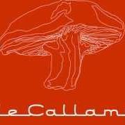 Der musikalische text TÍRATE von CAFÉ TACUBA ist auch in dem Album vorhanden Vale callampa (2002)