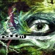 Der musikalische text THE TERMINAL von PENDULUM ist auch in dem Album vorhanden Hold your colour (2005)