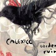 Der musikalische text NOM DE PLUME von CALEXICO ist auch in dem Album vorhanden Garden ruin (2006)