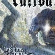 Der musikalische text SONG ABOUT KILLING von CALIBAN ist auch in dem Album vorhanden The undying darkness (2006)