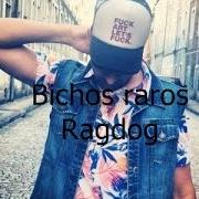 Bichos raros