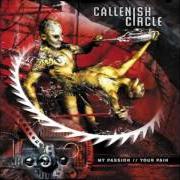 Der musikalische text CONFLICTS von CALLENISH CIRCLE ist auch in dem Album vorhanden My passion // your pain (2003)