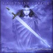 Der musikalische text BEYOND von CALLENISH CIRCLE ist auch in dem Album vorhanden Graceful... yet forbidding (1999)