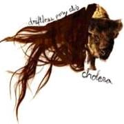 Der musikalische text MOUNTAINS AND RUINS von DRIFTLESS PONY CLUB ist auch in dem Album vorhanden Cholera (2006)