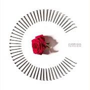 Der musikalische text ENVY von COLDRAIN ist auch in dem Album vorhanden Fateless (2017)