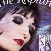 Der musikalische text SICK CHILD von SIOUXSIE AND THE BANSHEES ist auch in dem Album vorhanden The rapture (1995)