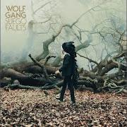 Der musikalische text STAY AND DEFEND von WOLF GANG ist auch in dem Album vorhanden Suego faults (2011)
