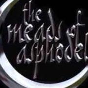 Der musikalische text MY BEAUTIFUL GENOCIDE von THE MEADS OF ASPHODEL ist auch in dem Album vorhanden In the name of god, welcome to planet genocide - ep (2006)