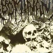 Der musikalische text CHAOS SANCTUARY von ABOMINANT ist auch in dem Album vorhanden Warblast (2008)