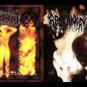 Der musikalische text SEEDS OF FIRE von ABOMINANT ist auch in dem Album vorhanden Conquest (2004)