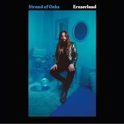 Der musikalische text VISIONS von STRAND OF OAKS ist auch in dem Album vorhanden Eraserland (2019)