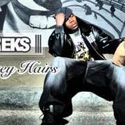 Der musikalische text BIG DREAMERS von REKS ist auch in dem Album vorhanden Grey hair (2008)