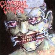 Der musikalische text MUMMIFIED IN BARBED WIRE von CANNIBAL CORPSE ist auch in dem Album vorhanden Vile (1996)